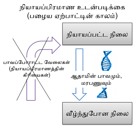 Law Covenant